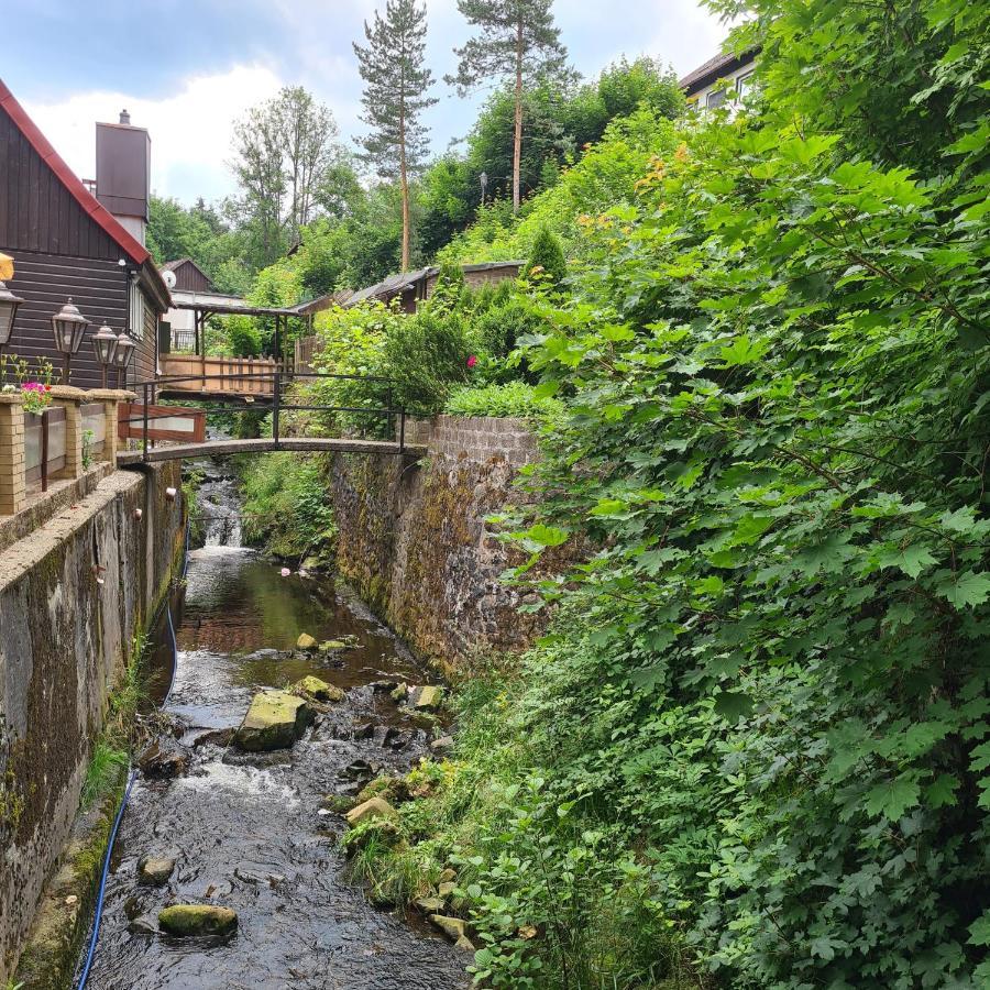 אלטנאו Harz Im Herzen מראה חיצוני תמונה