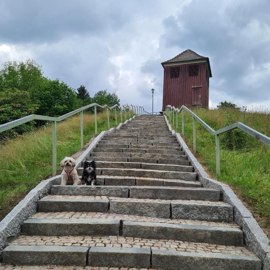אלטנאו Harz Im Herzen מראה חיצוני תמונה